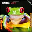 Frogs 2013 Square 12X12 Wall Calendar
