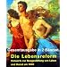 P�dagogische "Querentw�rfe"