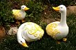 Resin Goose Statuaries - Set of 3