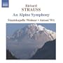Richard Strauss: An Alpine Symphony (Eine Alpensinfonie) ~ Wit