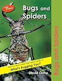 Bugs and spiders