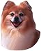   - Pomeranian Super Magnet2008