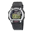 Casio Men's W94HF-8AV Multifunction Sport Watch