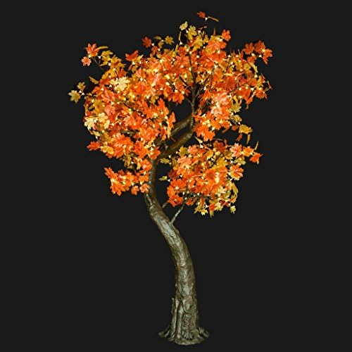MORGAN - 7' Maple (Amber)