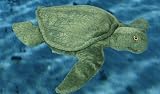 Leatherback Turtle 14" Puppet Plush Stuffed Animal Toy