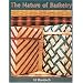 The Nature of Basketry