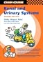Renal and Urinary Systems (Crash Course)