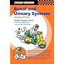 Renal and Urinary Systems (Crash Course - US)