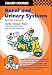 Renal and Urinary Systems (Crash Course - US)