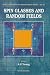 Book Spin Glasses & Random Fields