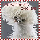 Extraordinary Chickens 2006 Wall Calendar by Stephen Green-Armytage