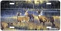 Shadowtime - Western Wild Deer Decor Art Print - License Plate Tag By Nancy Glazier From Airstrike