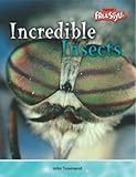 Incredible insects