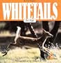 Whitetails for Kids (Wildlife for kids)