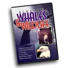 Alaska's Whales & Wildlife