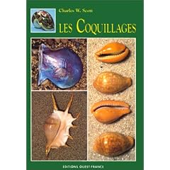 Les Coquillages