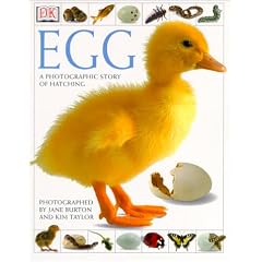 Egg: A Photographic Story of Hatching