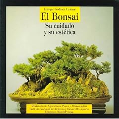 El Bonsai Su Cuidado y Su Estetica