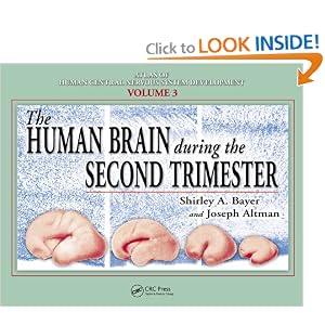Click here to buy The Human Brain During the Second Trimester (Atlas of Human Central Nervous System... by Shirley A. Bayer and Joseph Altman.