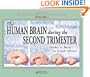Atlas of Human Central Nervous System Development -5 Volume Set: The Human Brain During the Second Trimester