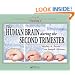 Atlas of Human Central Nervous System Development -5 Volume Set: The Human Brain During the Second Trimester