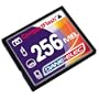 Dane Elec 256 MB Compact Flash Card