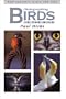 Photographing Birds in the Wild: Photographic Hints and Tips