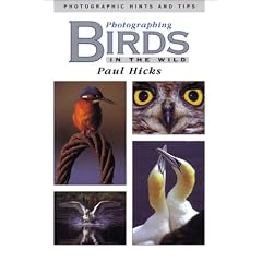 Photographing Birds in the Wild: Photographic Hints and Tips