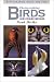 Photographing Birds in the Wild: Photographic Hints and Tips