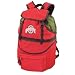 Ohio State Buckeyes Zuma Insulated Backpack