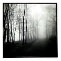 Memory Lane on Canvas by Clark - 20x20"