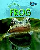 The life of a frog