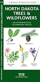 North Dakota Trees & Wildflowers: An Introduction to Familiar Species (Pocket Naturalist Guide)