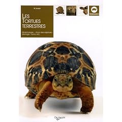 Les tortues terrestres