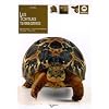 Les tortues terrestres