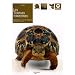 Les tortues terrestres