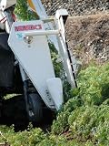 熊本産または宮崎産　土作りからこだわり、にんじん(無農薬無化学肥料)（規格外）　10kg【クール便　送料無料】