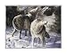 3 PRINTS ALASKA WILD BABY EAGLE WOLVES WOLF KODIAK BEAR