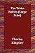 Book The Water Babies (Large Print)