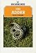 The Adder (Shire Natural History) by Peter Stafford