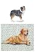 Australian Shepherd Glass Cutting Board