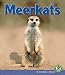 Meerkats (Early Bird Nature Books)