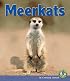 Meerkats (Early Bird Nature Books)