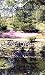 Botanical Gardens [VHS]