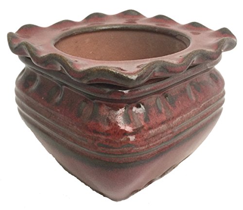 Scallop Square Self Watering Glazed Ceramic Pot - Oxblood - 5.3