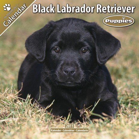 december 2011 calendar with holidays. 16 Month 2011 Calendar