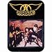 Aerosmith - Singing Stage Decal - Sticker