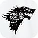 TeesRoom Men's Winter Is Coming Stark T-Shirt
