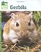 Gerbils (Animal Planet Pet Care Library)