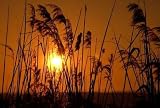 Straws in the Sun - 24